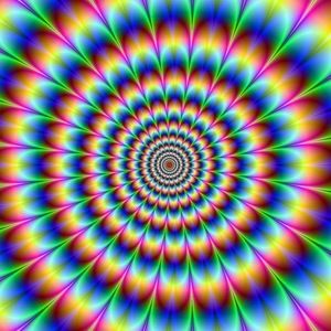 Meet your Posher, Owen